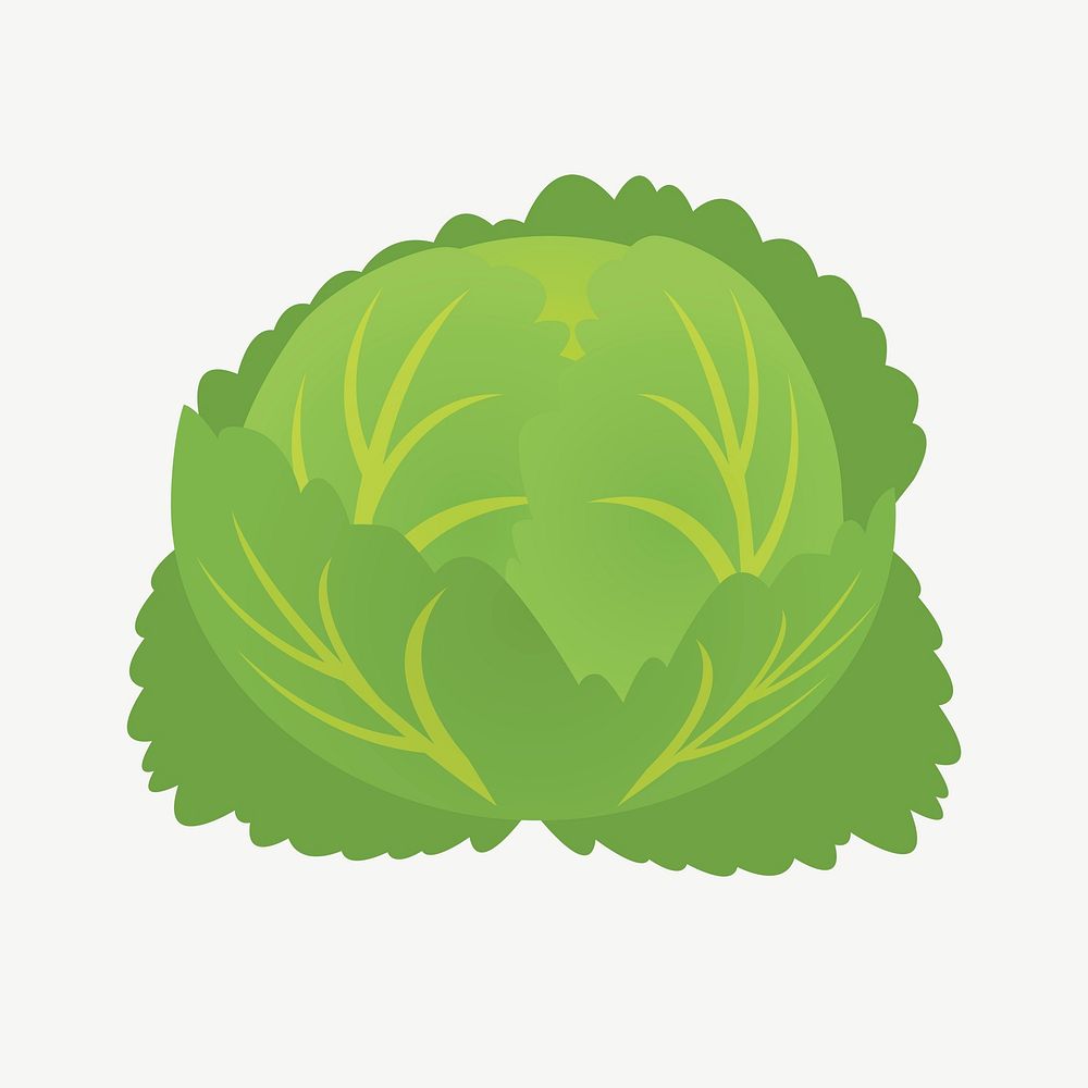 Lettuce vegetable clipart illustration psd. Free public domain CC0 image.