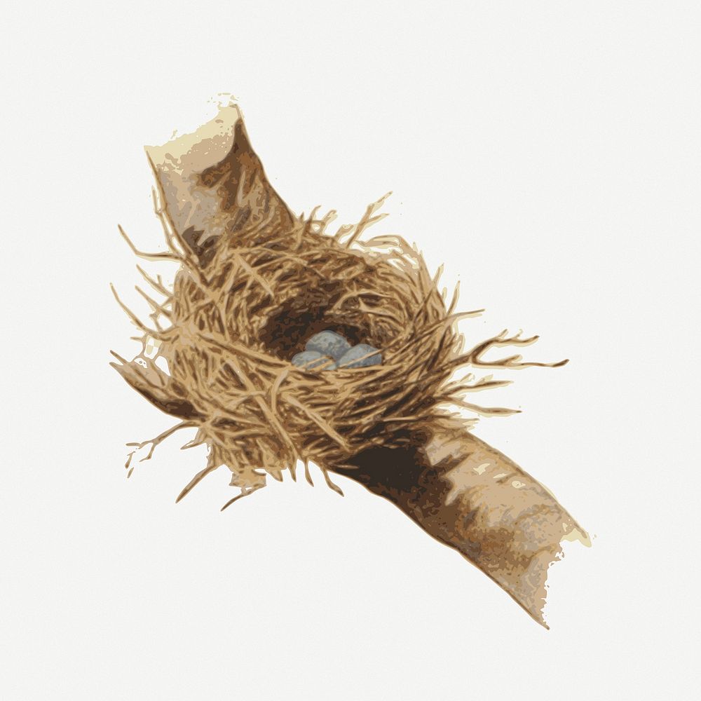 Bird nest clipart illustration psd. Free public domain CC0 image.