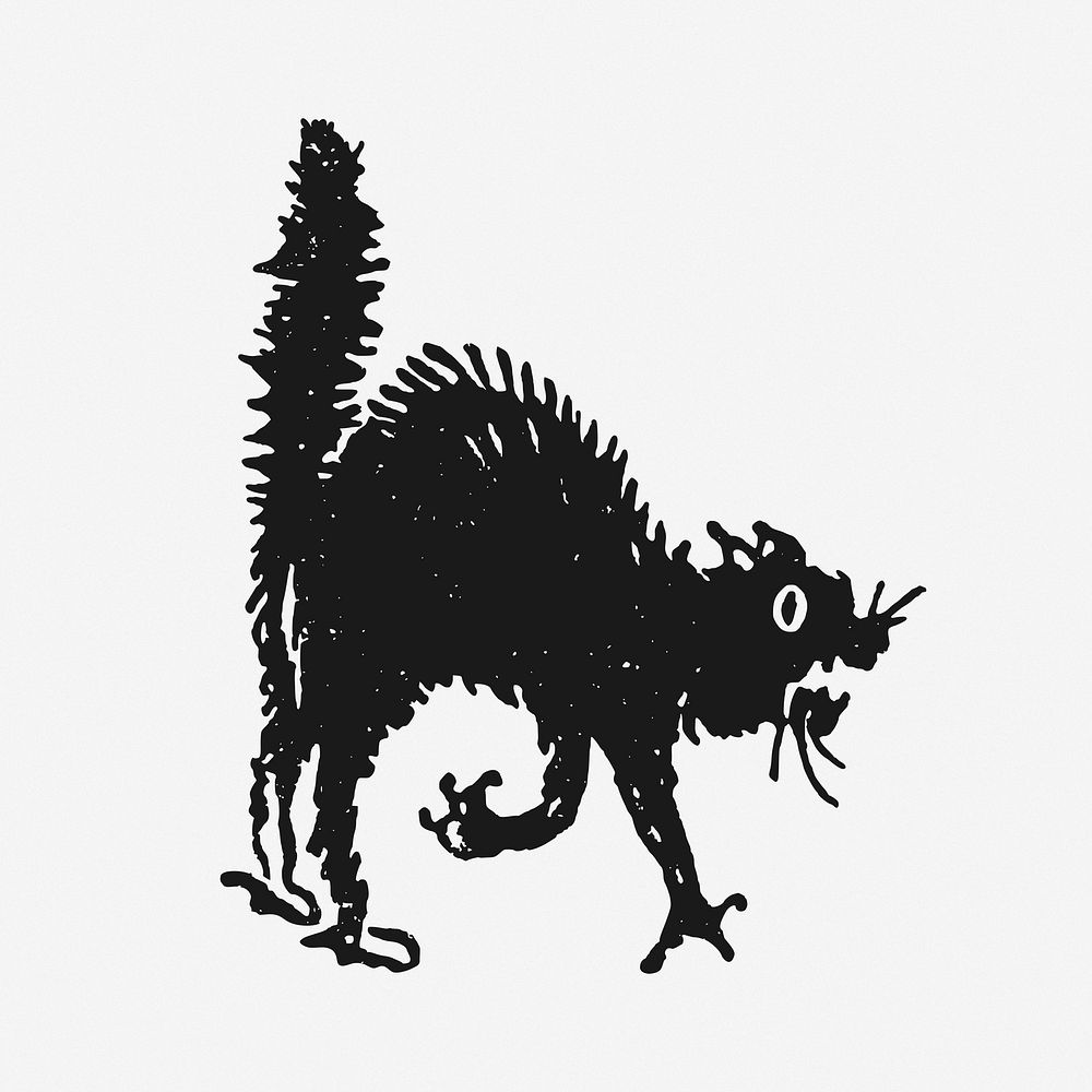 Frighten cat illustration. Free public domain CC0 image.