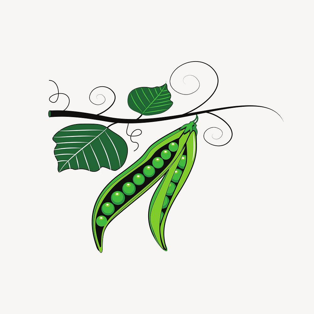Green pea collage element vector. Free public domain CC0 image.