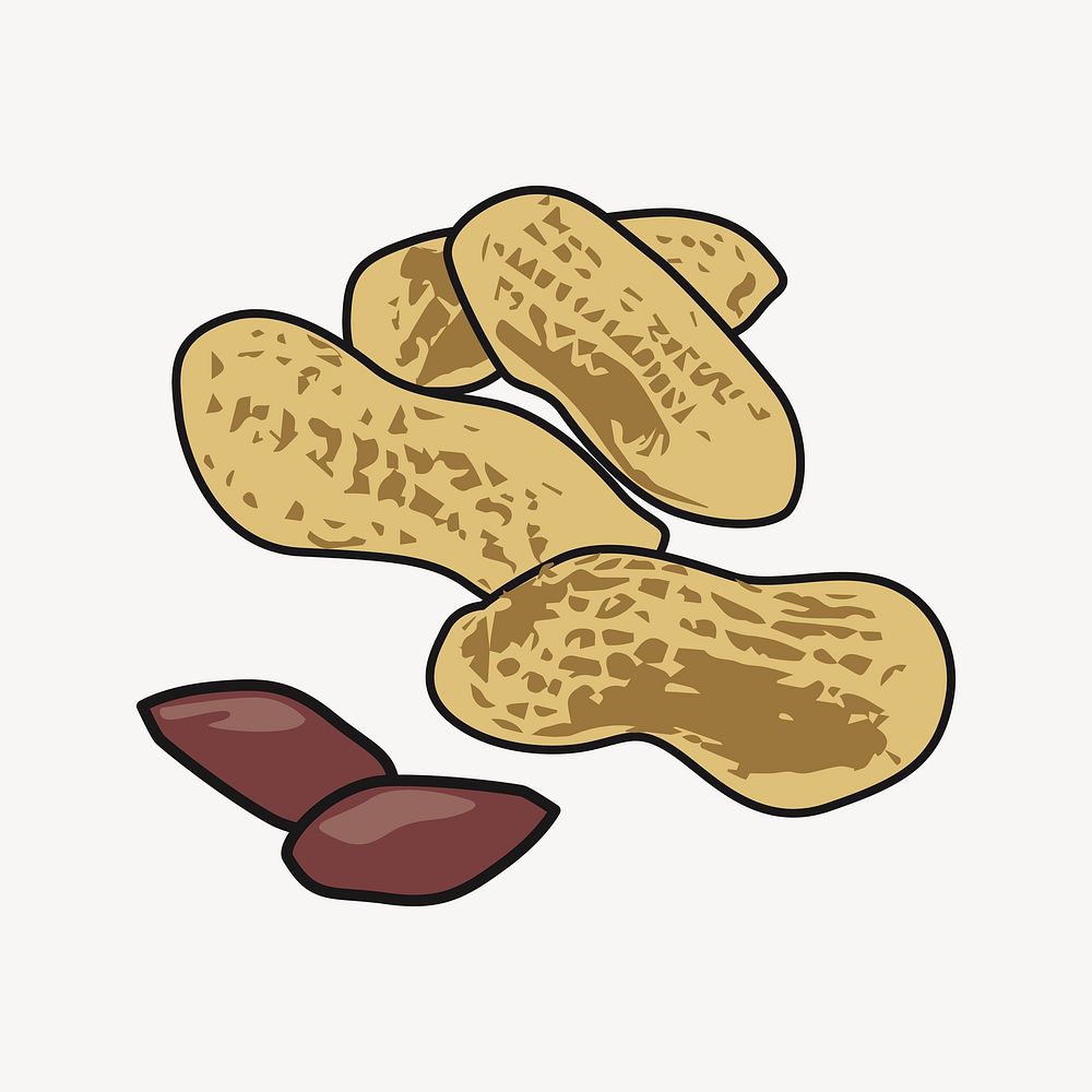 Peanut illustration. Free public domain CC0 image.
