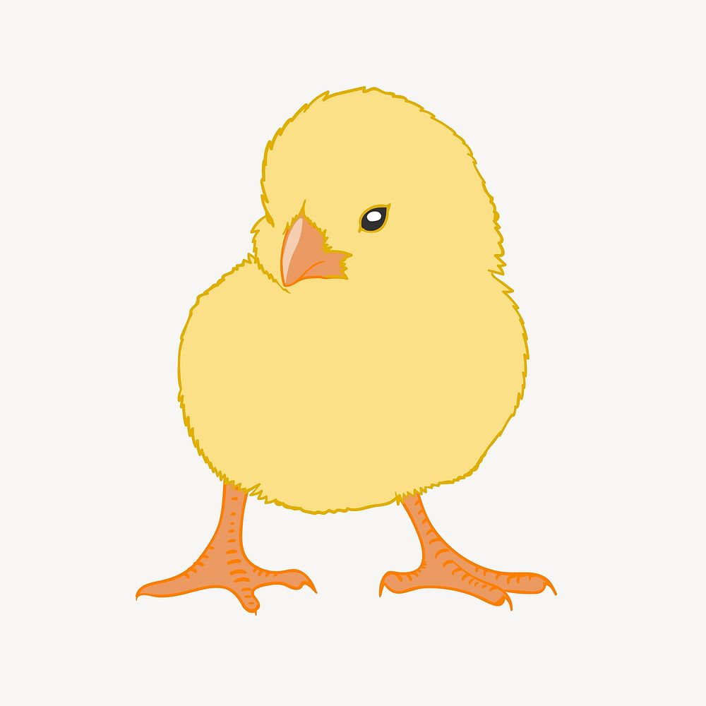 Chick illustration. Free public domain CC0 image.