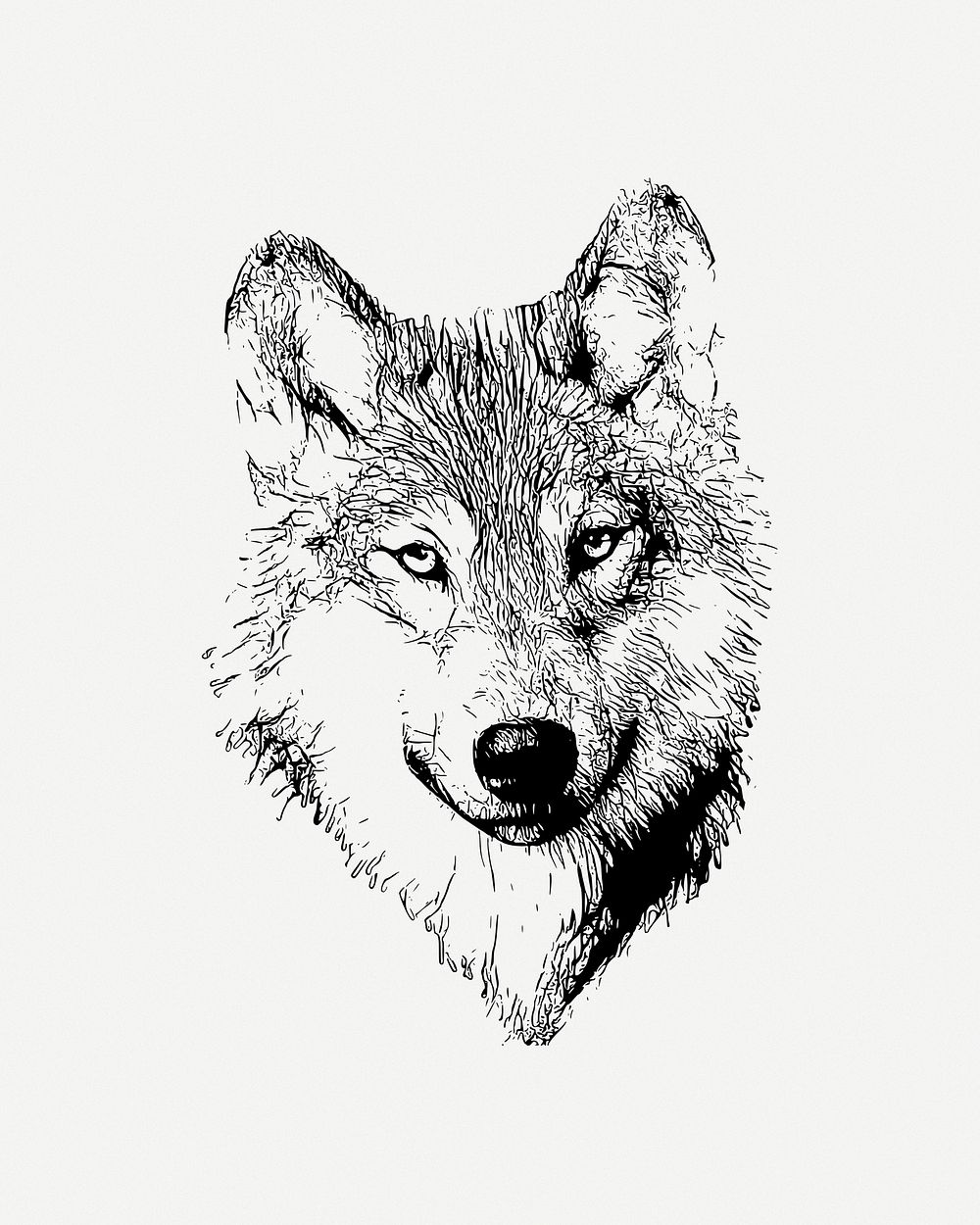 Wolf clipart, illustration psd. Free public domain CC0 image.