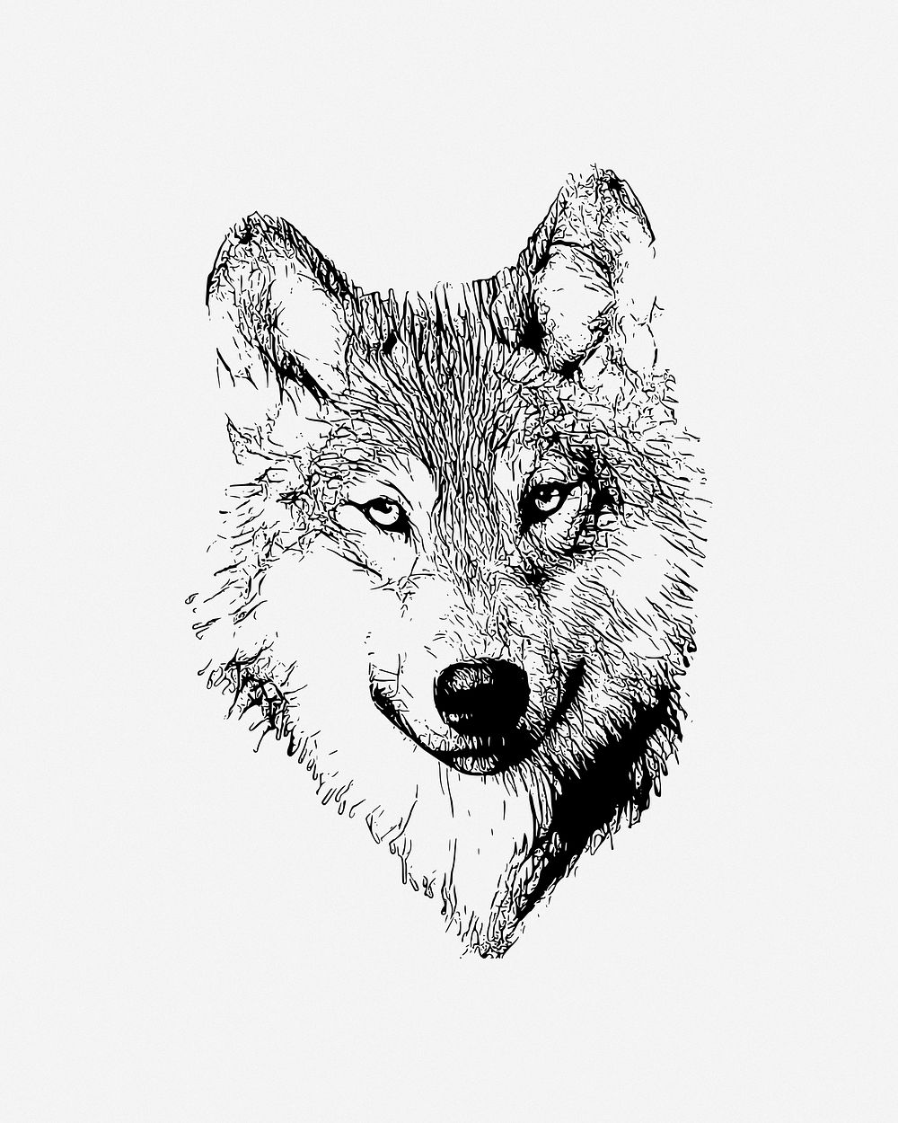 Wolf clipart, illustration vector. Free public domain CC0 image.