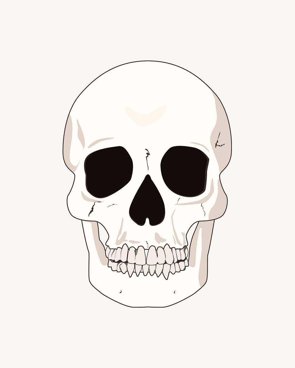 Human skull clipart, illustration vector. Free public domain CC0 image.