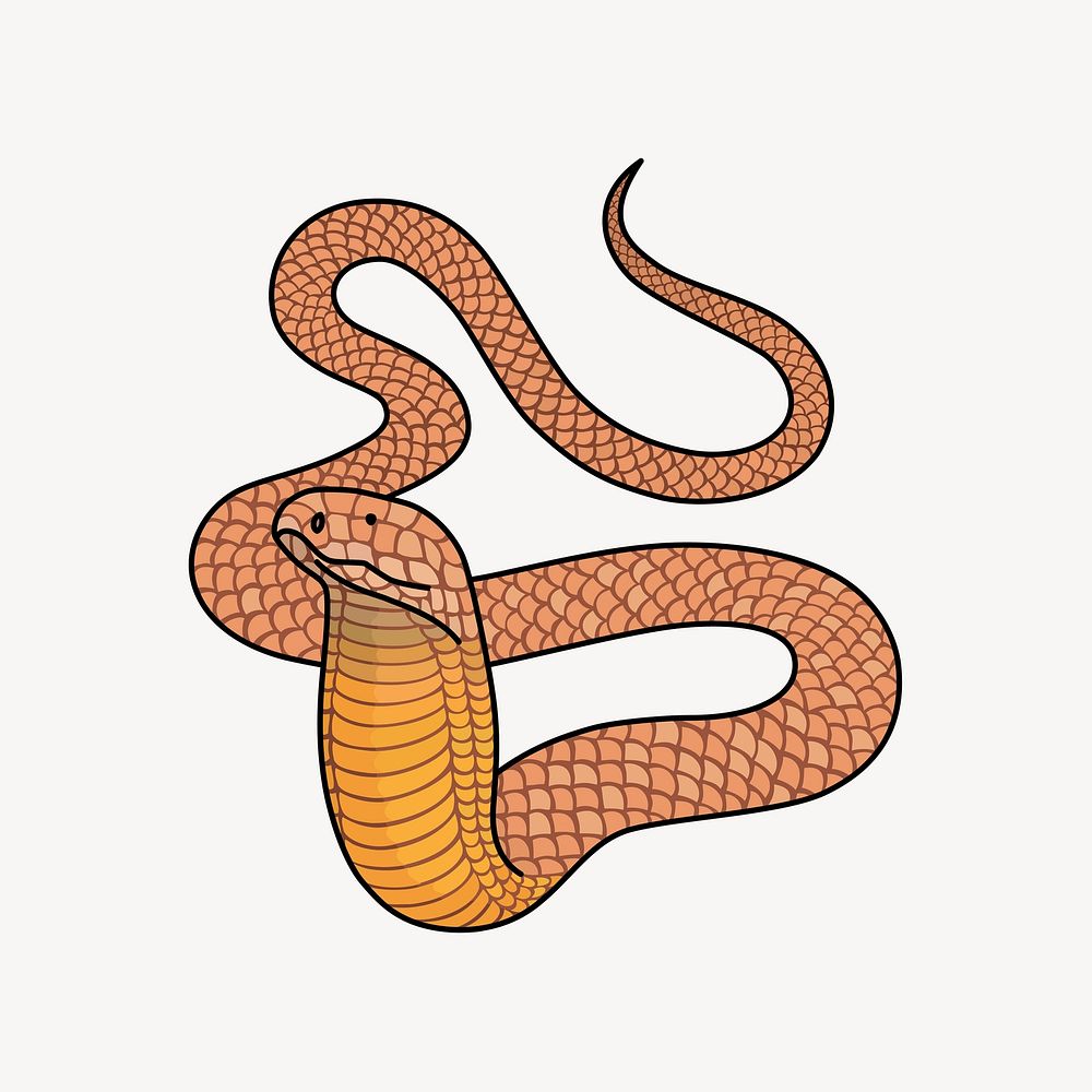 Cobra illustration, clip art. Free public domain CC0 image.