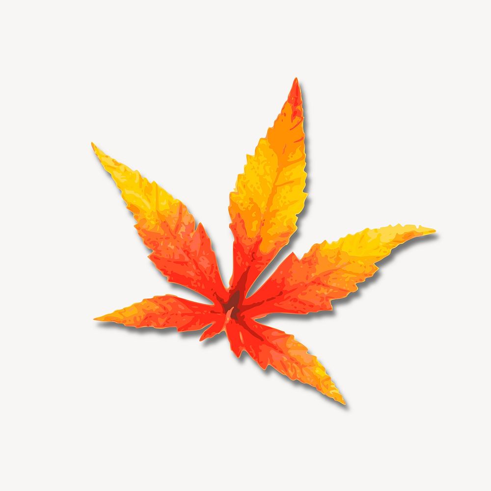 Red maple leaf illustration, clip art. Free public domain CC0 image.