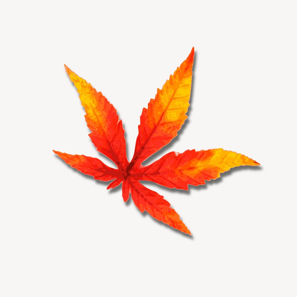 Red maple leaf clipart, illustration psd. Free public domain CC0 image.