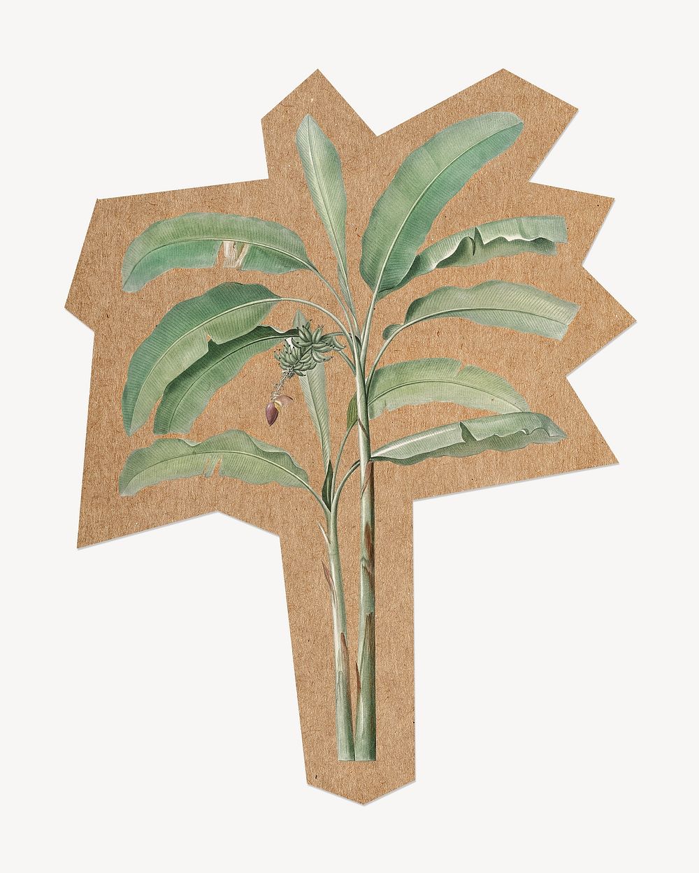 Banana tree, cut out paper element