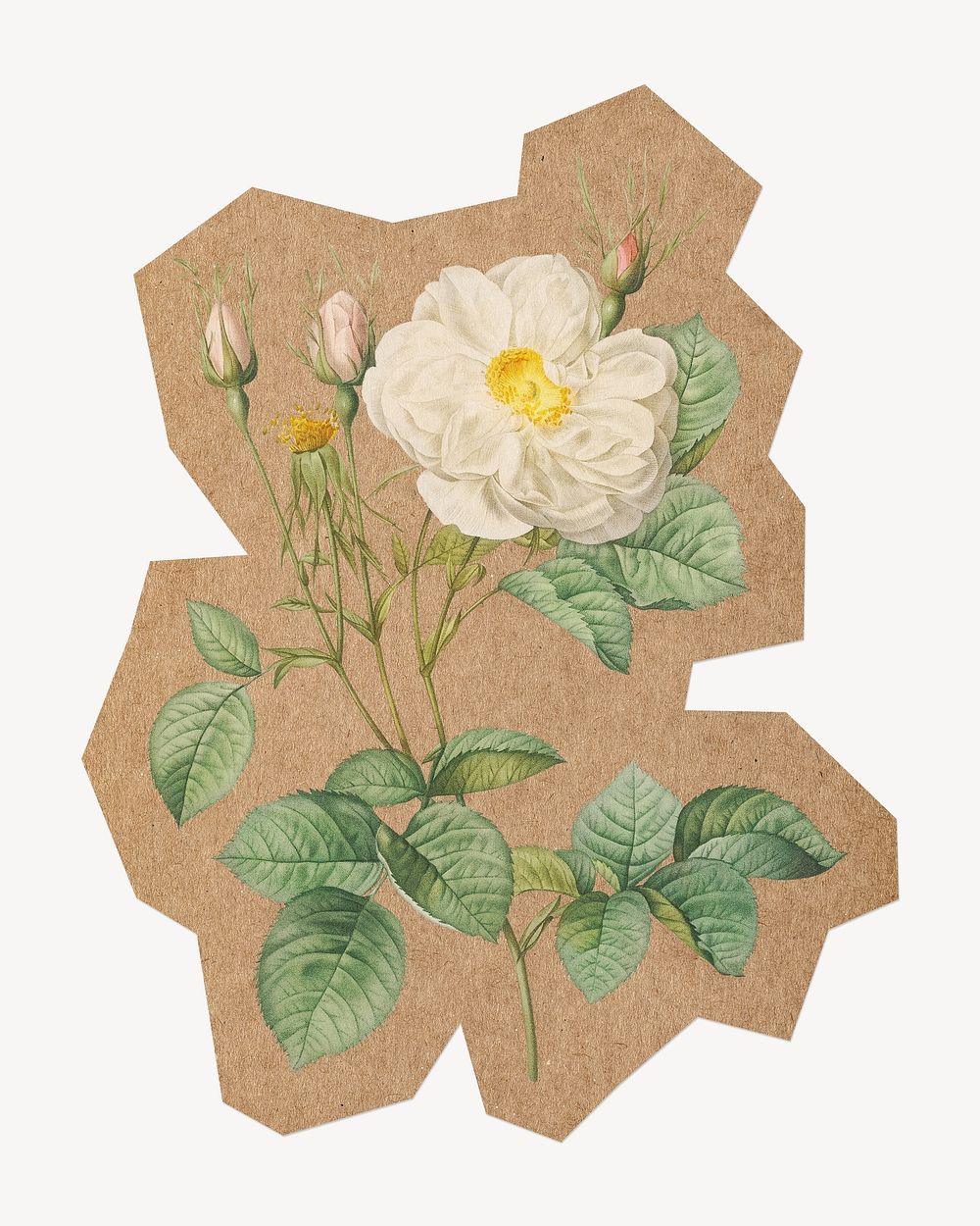 Vintage white rose, cut out paper element. Artwork from Pierre Joseph Redouté remixed by rawpixel.