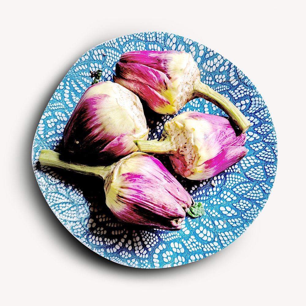 Pink flower bud isolated image on white