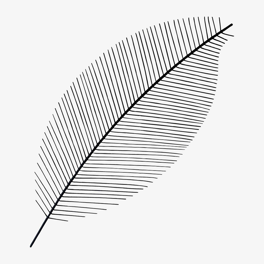 Leaf minimal illustration, isolated image