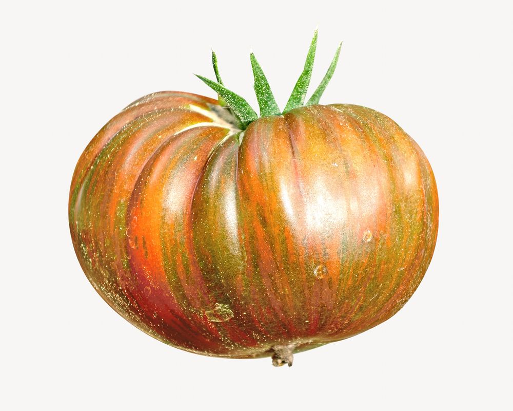 Vegetable dark tomato isolated object