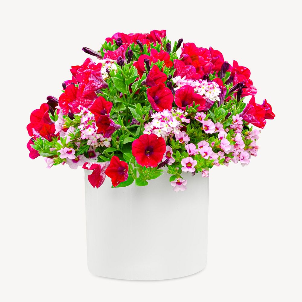 Pink flower bouquet Isolated image