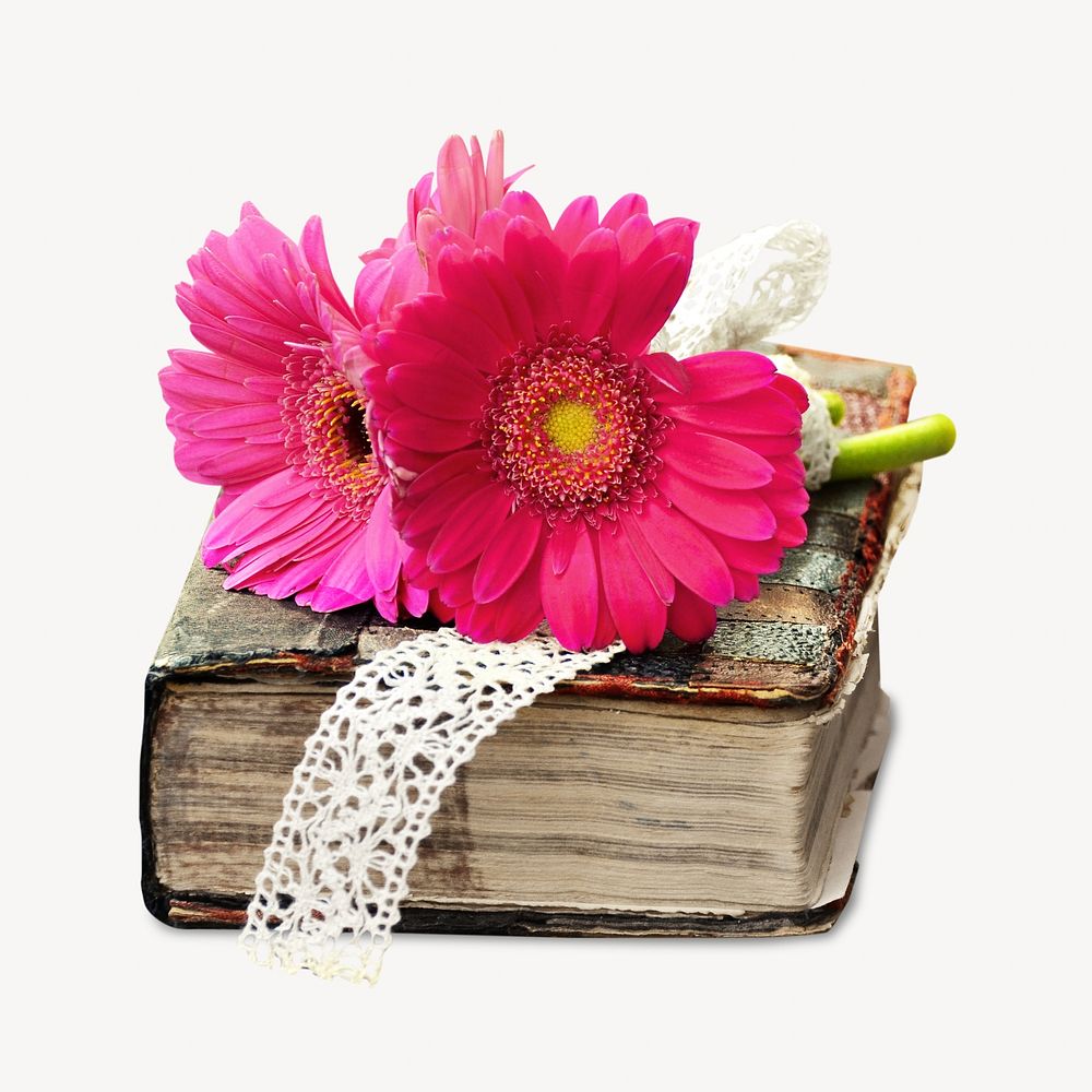 Flower on book, isolated object on white