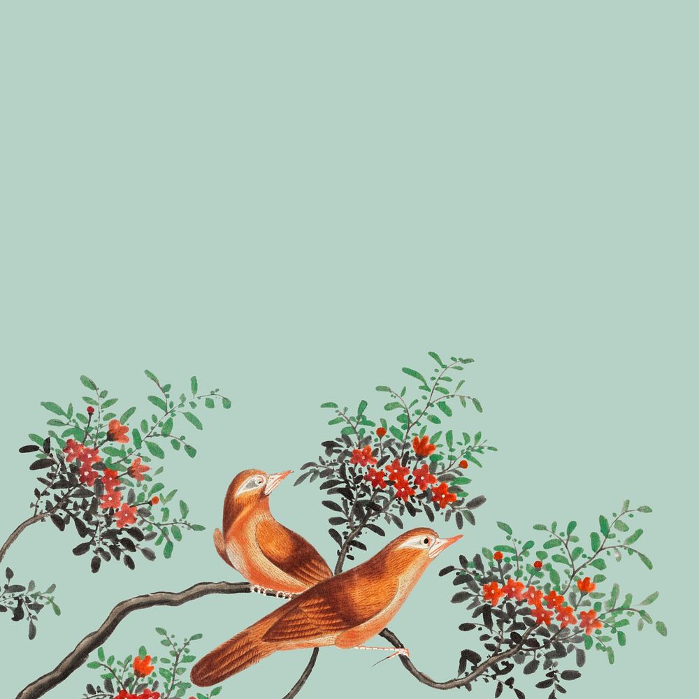 Bird paintings on simple background