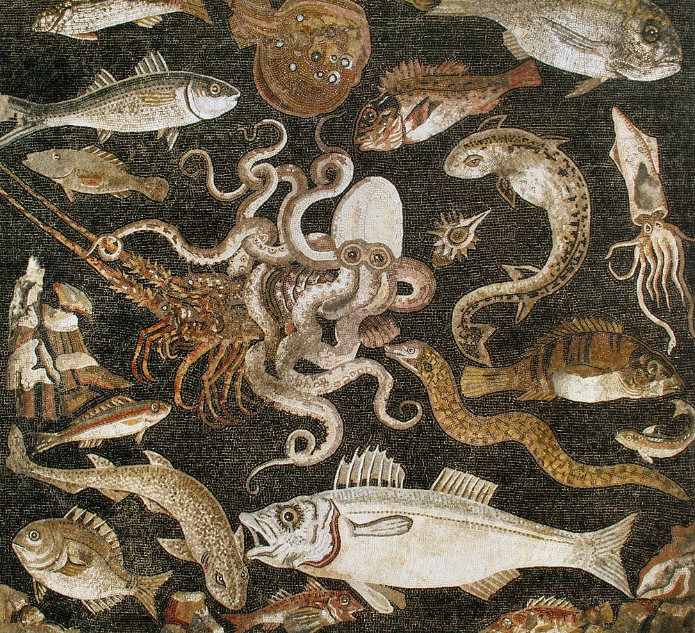 Mosaic of marine life, Pompeii, Italy. Original public domain image from Wikimedia Commons. Digitally enhanced by rawpixel.