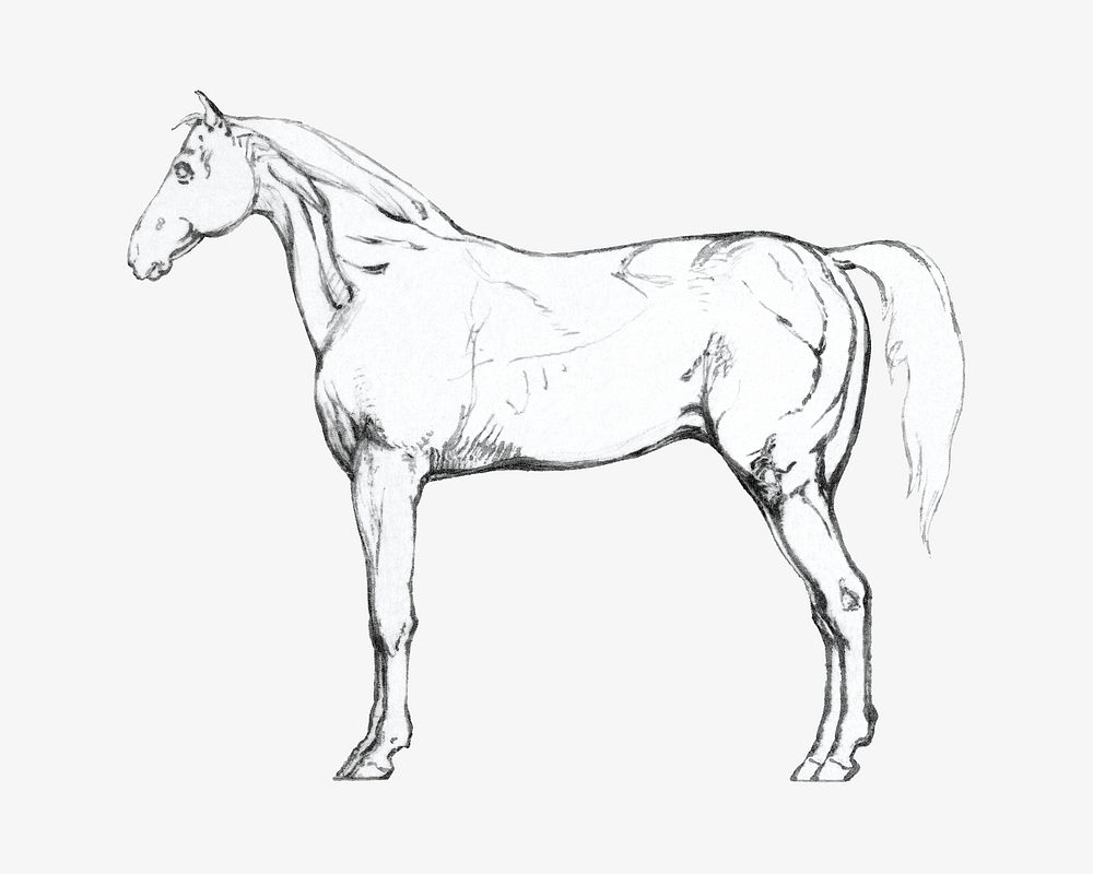  Horse sketch illustration isolated design. Remixed by rawpixel.