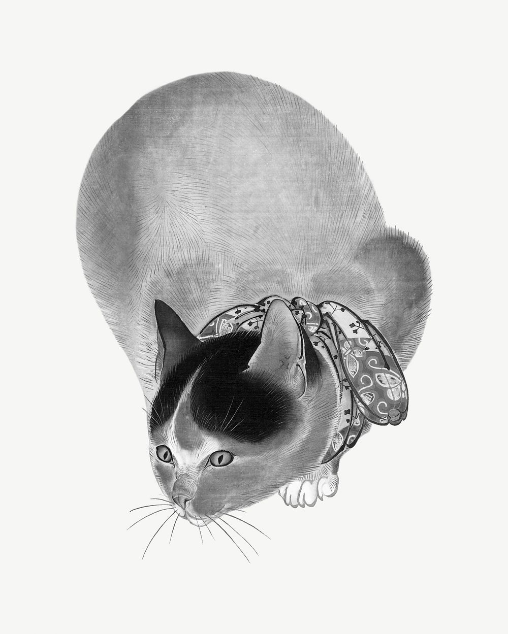 Cat, vintage animal illustration by Oide Tōkō psd.  Remixed by rawpixel. 