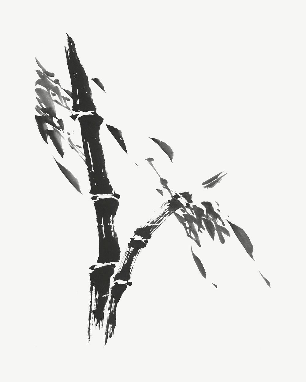Bamboo tree, vintage botanical illustration by Taihō Shōkon psd.  Remixed by rawpixel. 