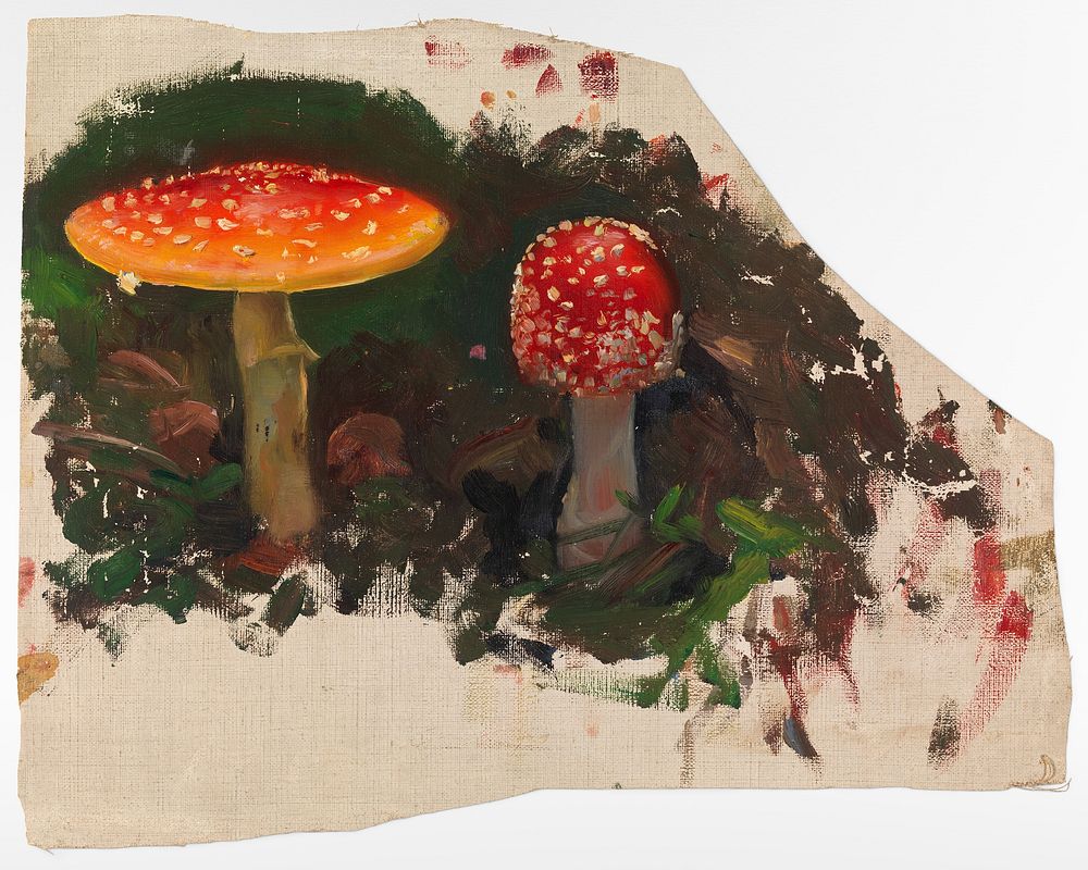 Two fly agarics, sketch for the painting fairy tale princess, (1895 - 1896) painted by Torsten Wasastjerna. Original public…