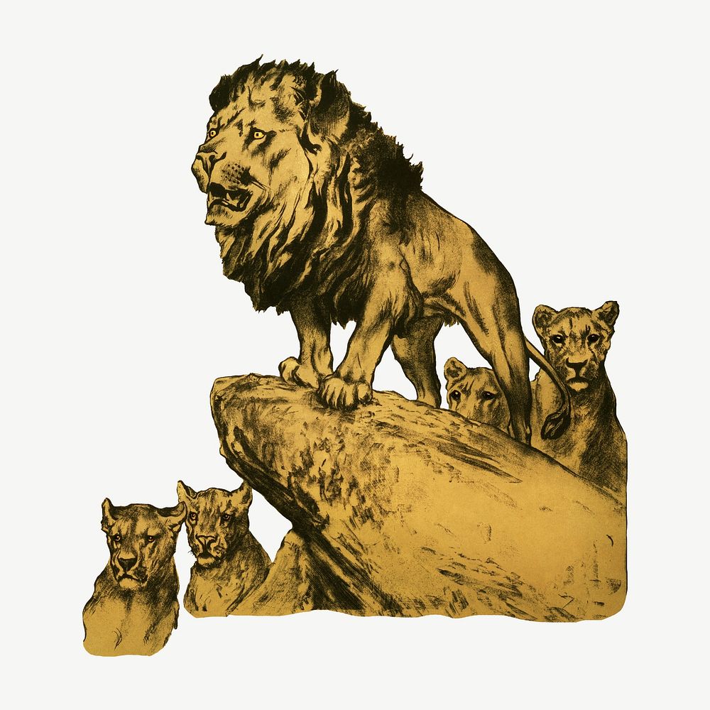 Lion and cubs, vintage animal illustration by by Arthur Wardle psd.  Remixed by rawpixel. 