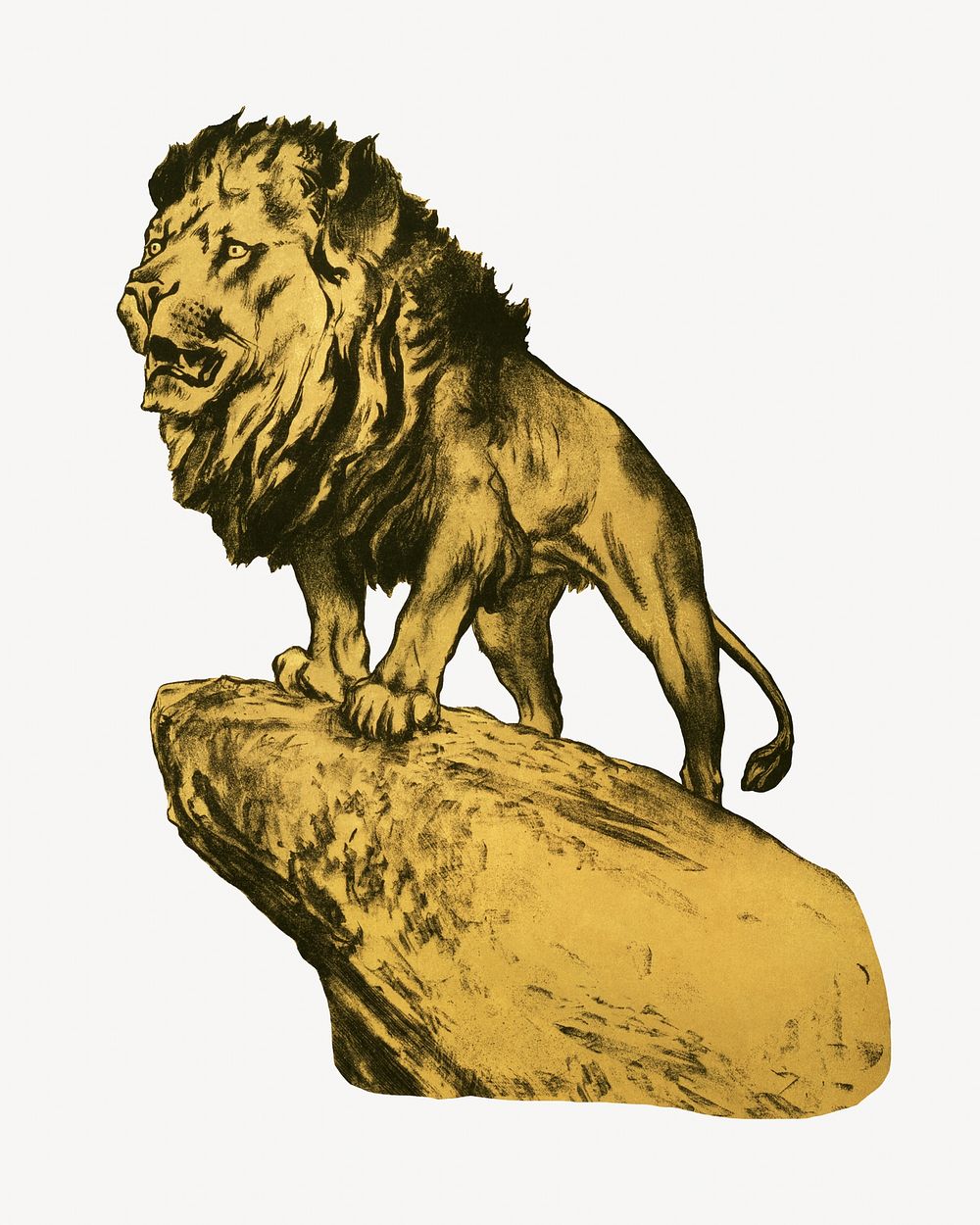 Lion, vintage wild animal illustration by by Arthur Wardle.  Remixed by rawpixel. 