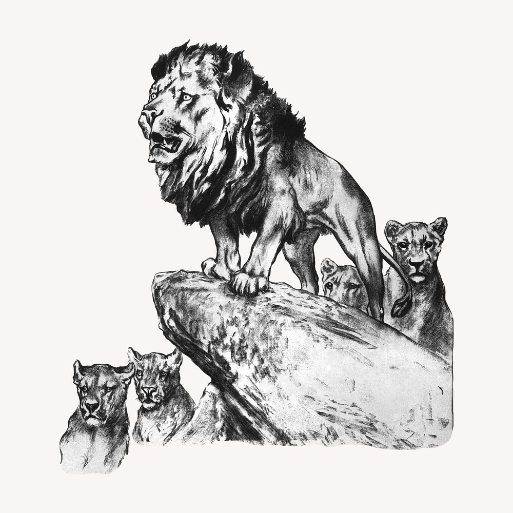 Lion and cubs, vintage animal illustration by by Arthur Wardle.  Remixed by rawpixel. 