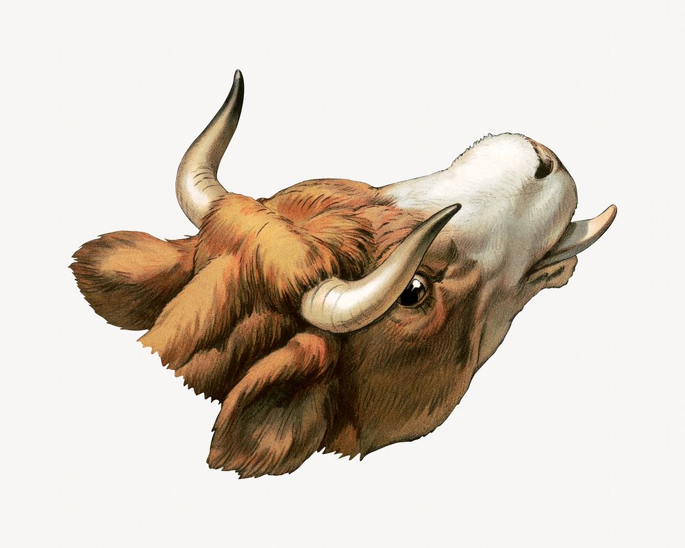 Cow bull, vintage farm animal illustration.  Remixed by rawpixel. 