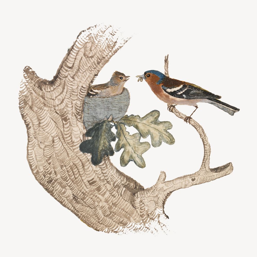 Chaffinch, bird illustration by Joseph Wolf.  Remixed by rawpixel. 