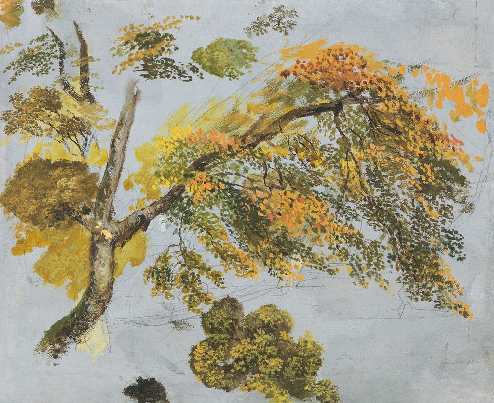 Tree Study (Autumn Foliage) (1828) nature illustration by John Linnell. Original public domain image from Yale Center for…