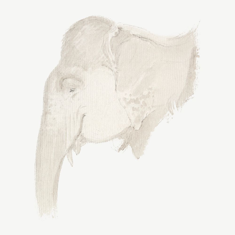 Elephant's head, animal illustration by Thomas Daniell psd.  Remixed by rawpixel. 