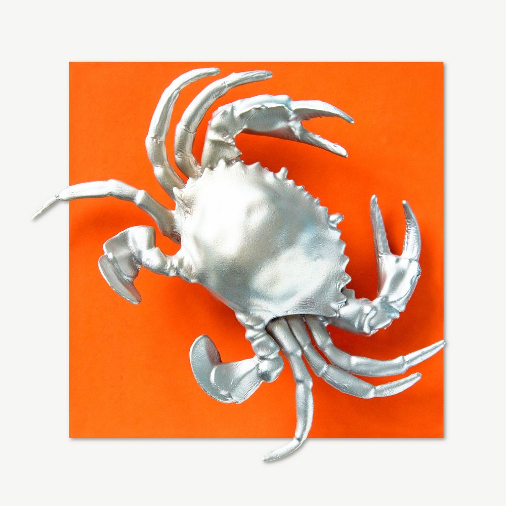 Silver crustacean crab paper isolated object psd