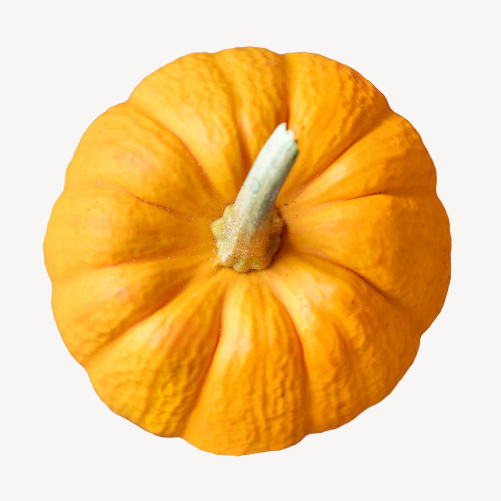 Fresh pumpkin, isolated design