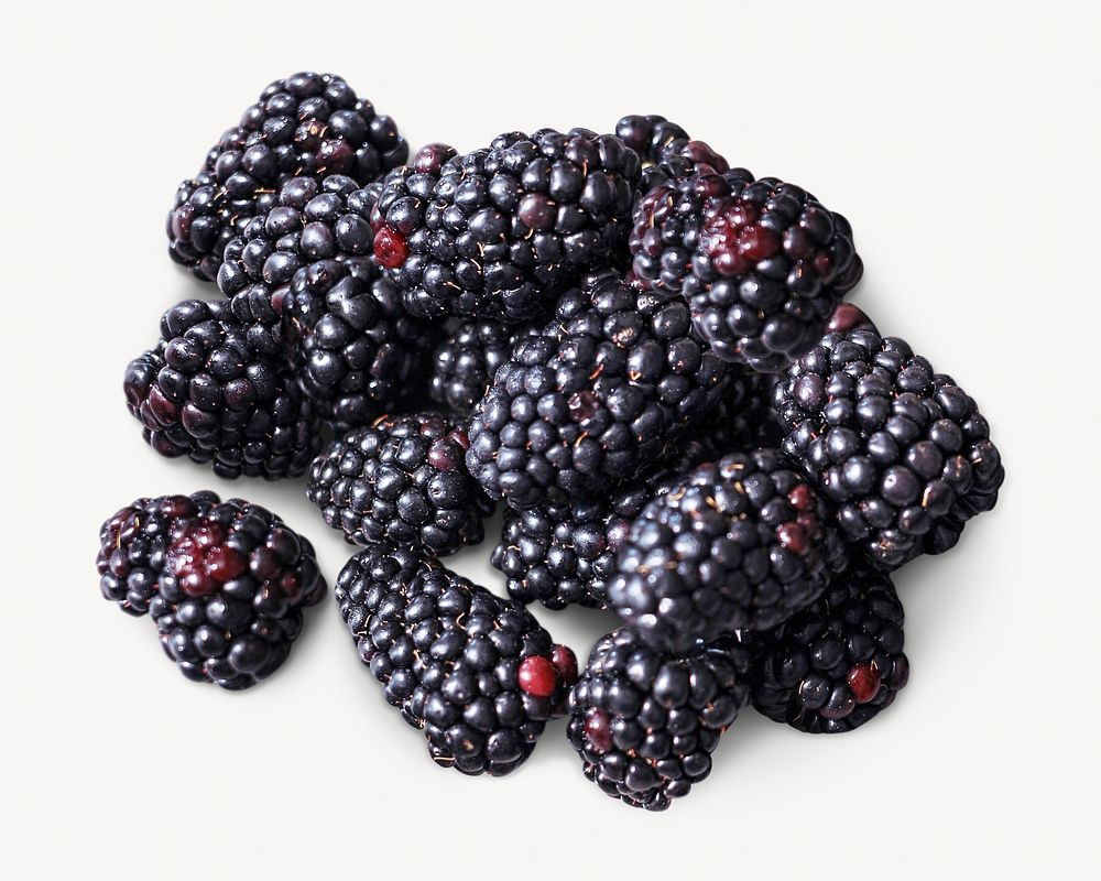 Blackberries image on white