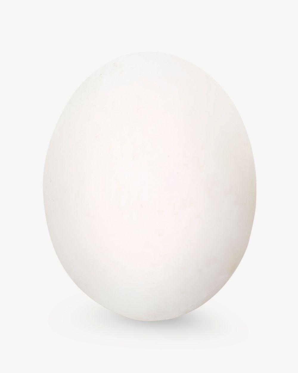 White egg image graphic psd