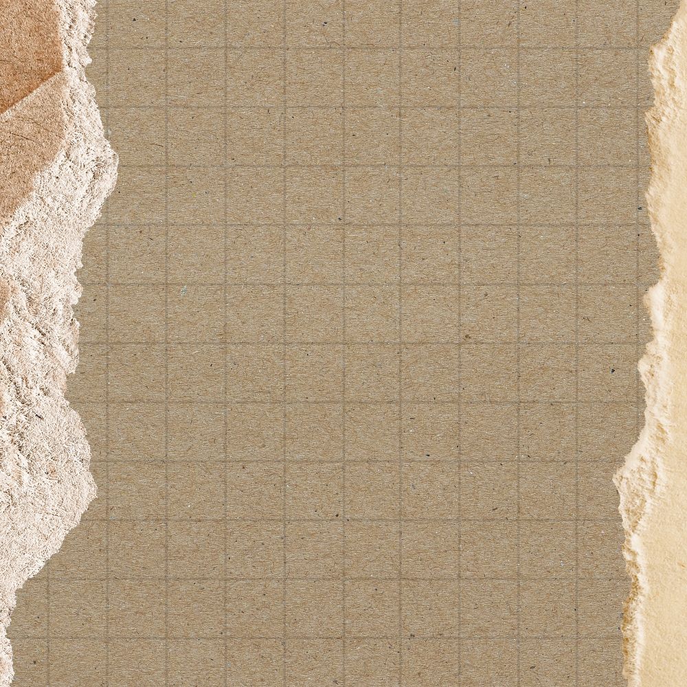 Brown grid background, ripped paper border design