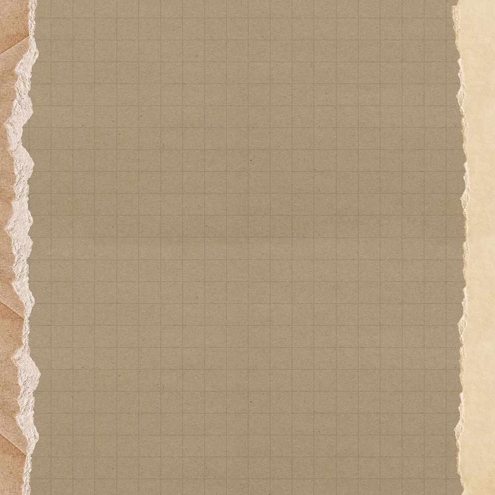 Brown grid patterned background, ripped paper border