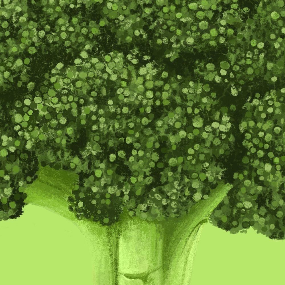 Broccoli vegetable background, food illustration