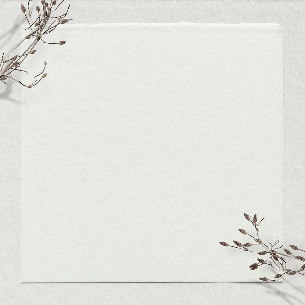 Off-white paper background, dry flower border psd