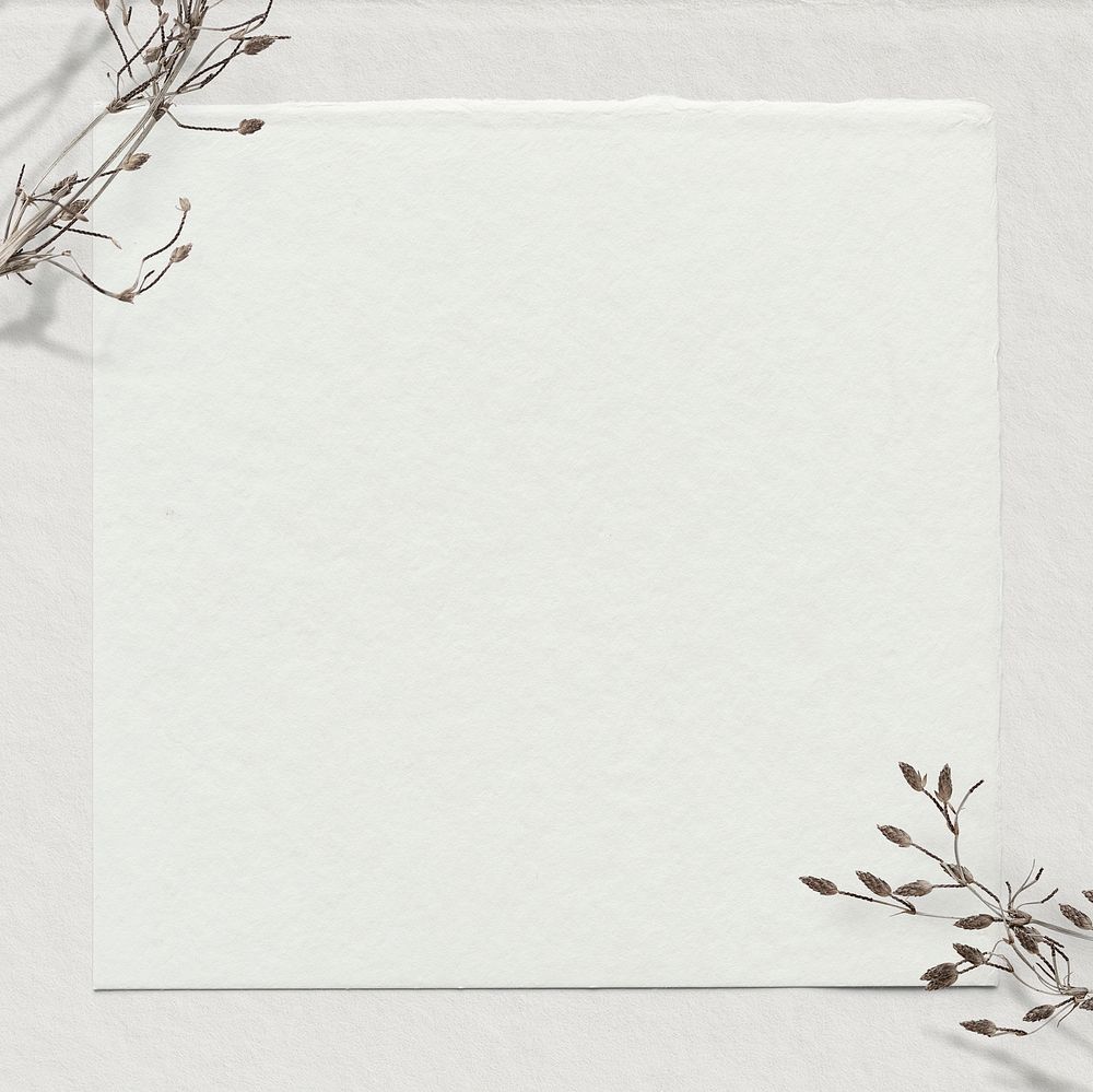 Flower border, off-white paper background