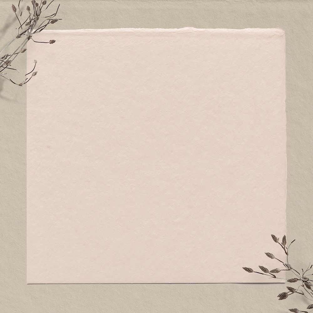 Pastel pink paper texture background, dry flower border