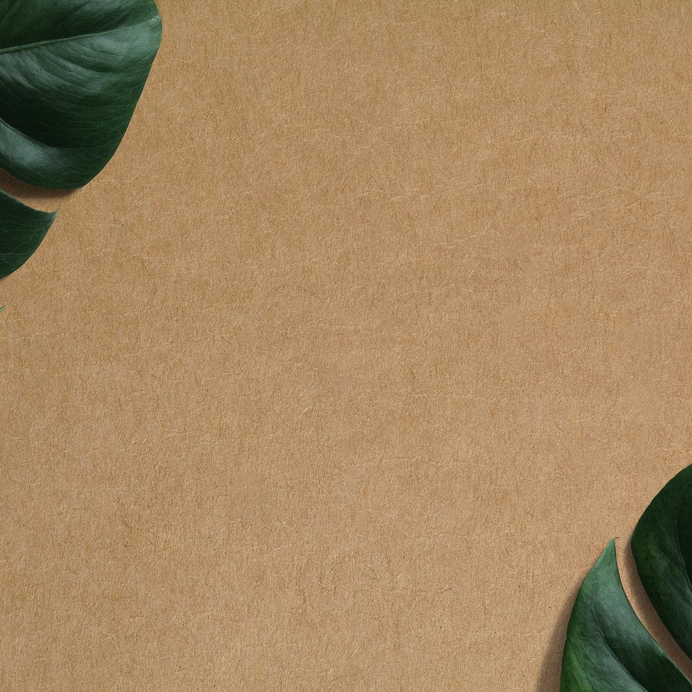 Monstera leaf border, brown background, craft paper texture