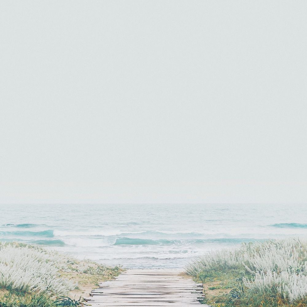 Beautiful beach background, wooden path through the grass