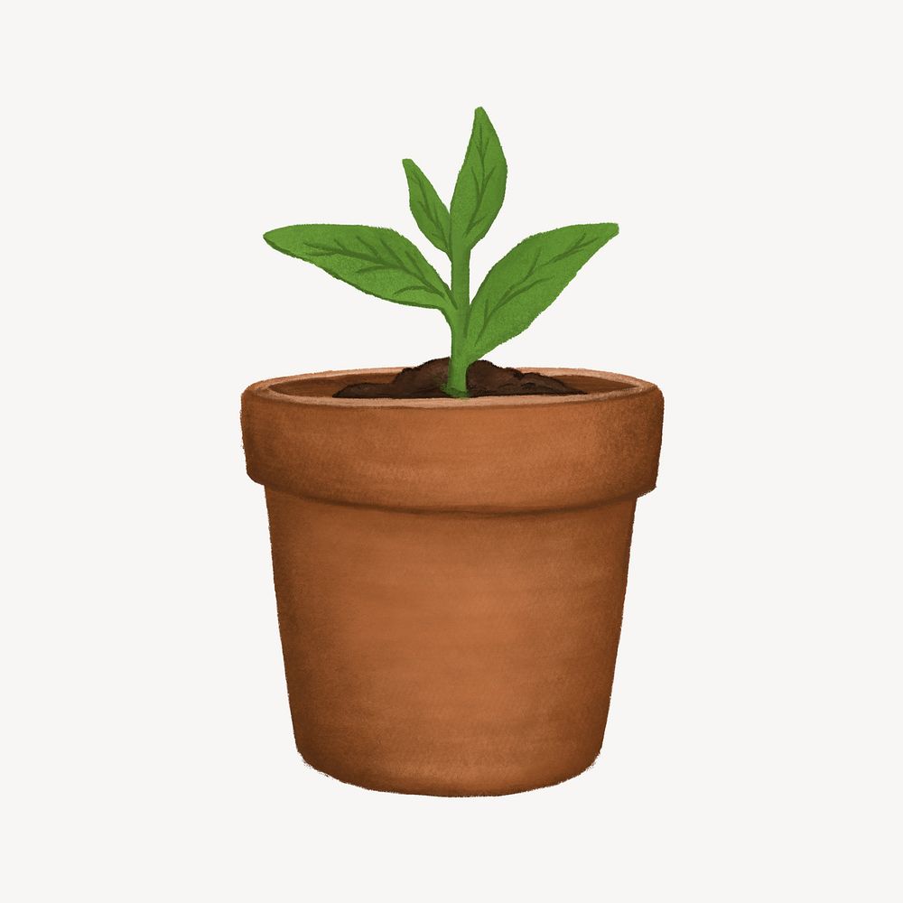 Potted houseplant, botanical illustration