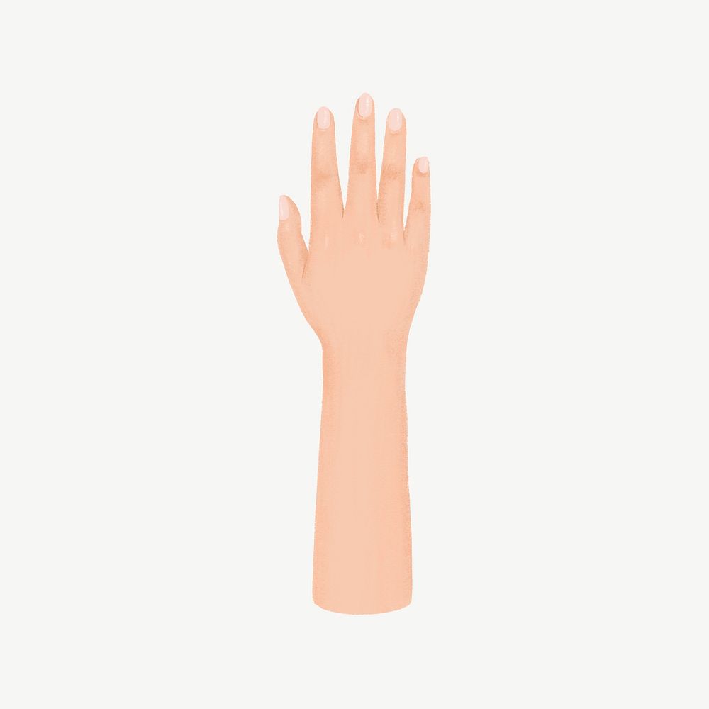 Woman's hand, gesture illustration psd