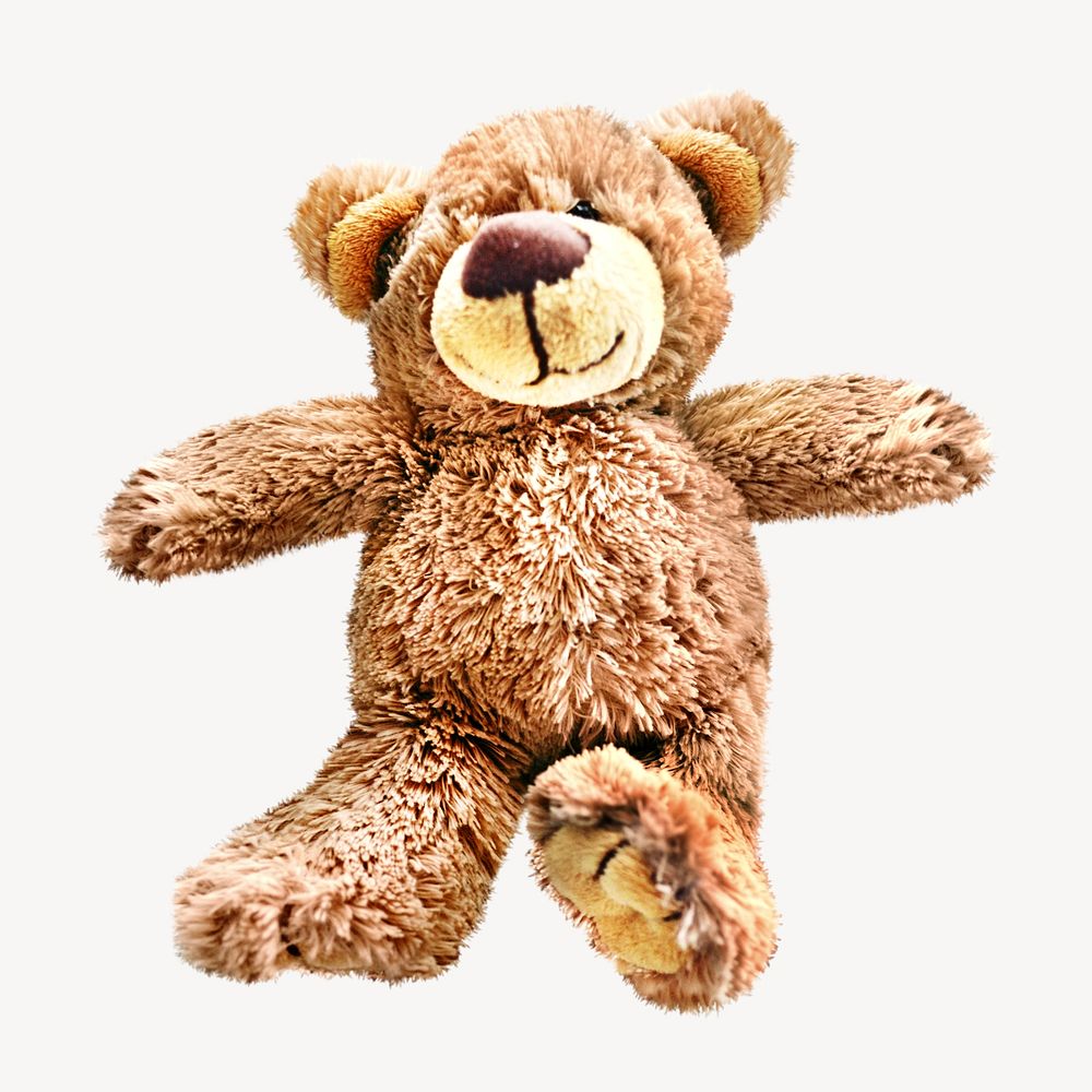 Teddy bear doll, isolated object on white