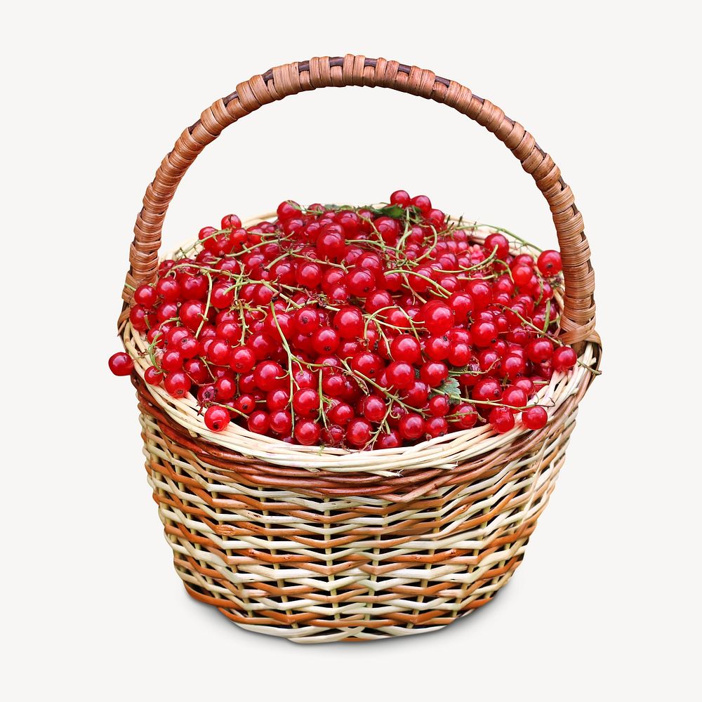 Berry basket, isolated design