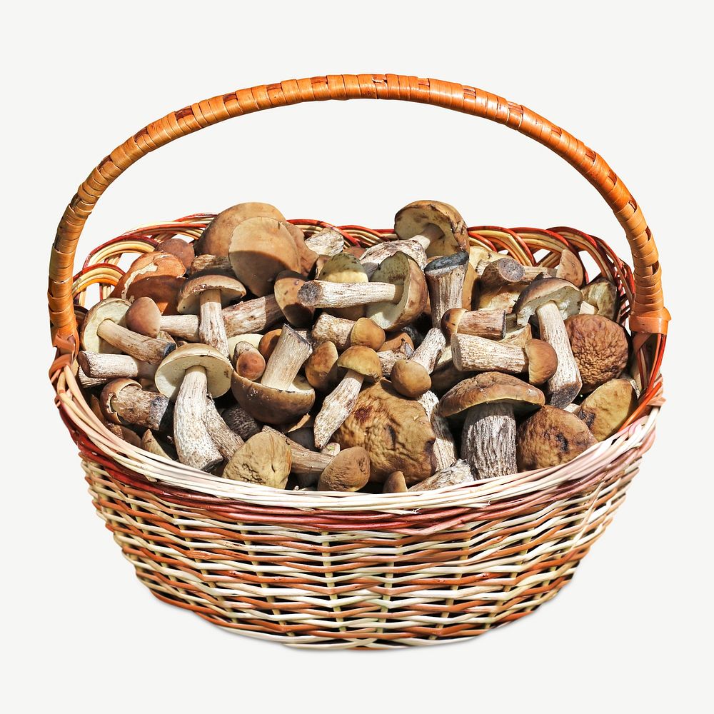 Basket of mushrooms psd
