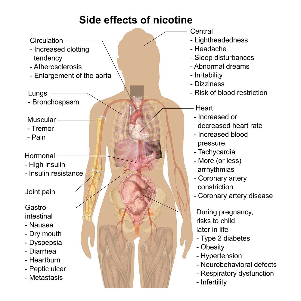 Main side effects of nicotine (See Nicotine).To discuss image, please see Talk:Human body diagrams